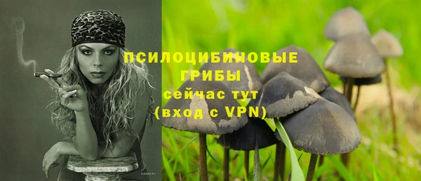 spice Алексин