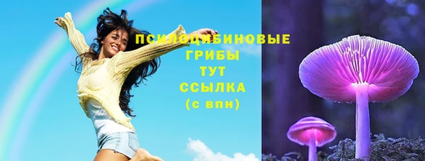 spice Алексин