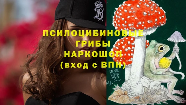 spice Алексин