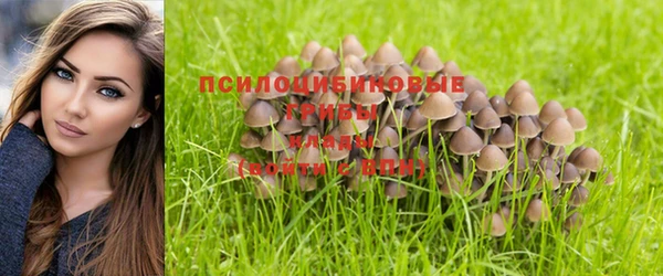 бошки Алексеевка
