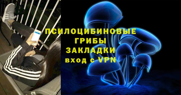 spice Алексин