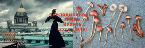 бошки Алексеевка