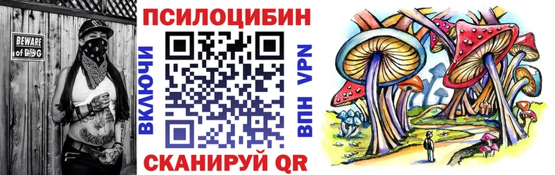Псилоцибиновые грибы ЛСД Ардатов
